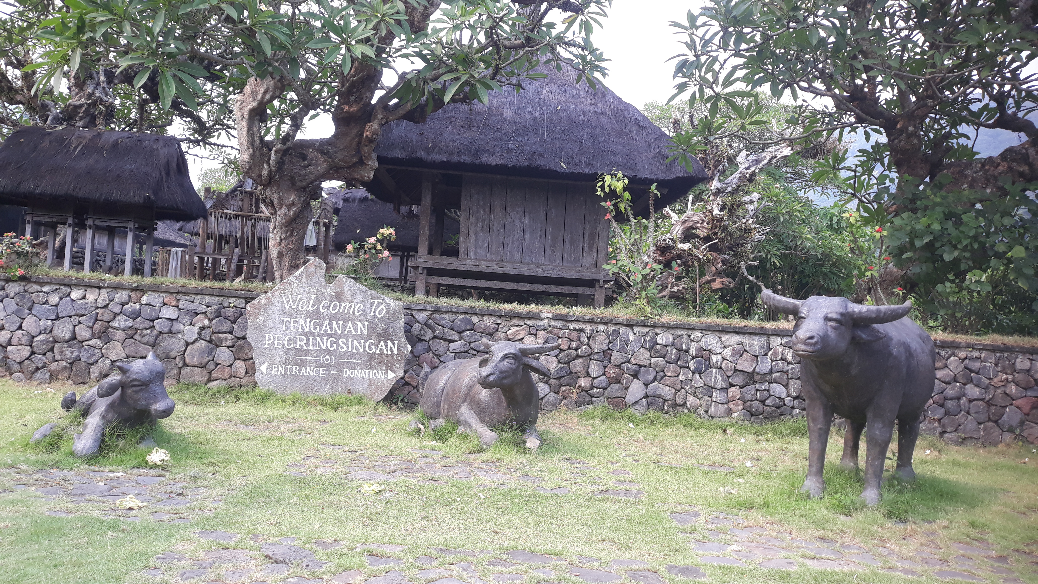 Bali-Aga: Ureinwohner-Dorf Tenganan! – Bild 2
